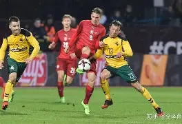 C7娱乐app-包含立陶宛队挽回败局，欧预赛晋级前景一片大好的词条