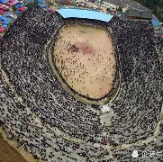 C7娱乐-精彩纷呈！欧预赛激烈角逐引无数球迷狂热的简单介绍